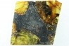 METEORITE: PALLASITE - ESQUEL