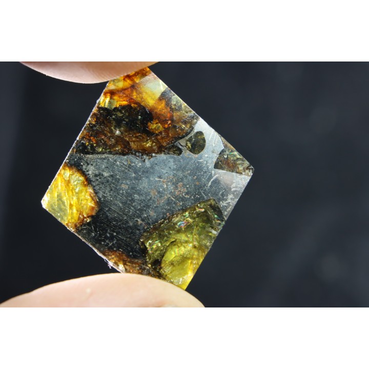 METEORITE: PALLASITE - ESQUEL