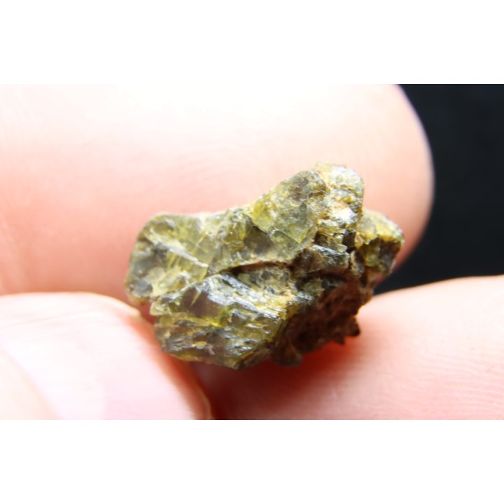 Météorite: ACHONDRITE HED DIOGENITE - NWA7831