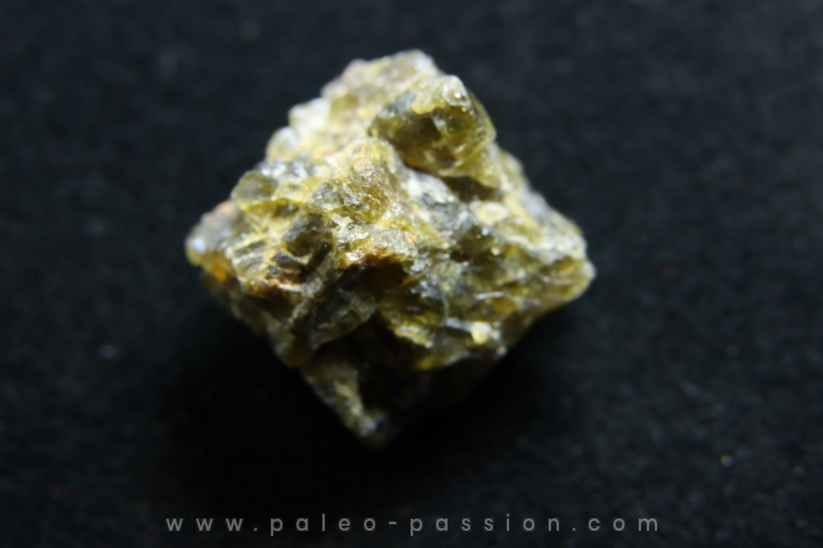 Météorite: ACHONDRITE HED DIOGENITE - NWA7831
