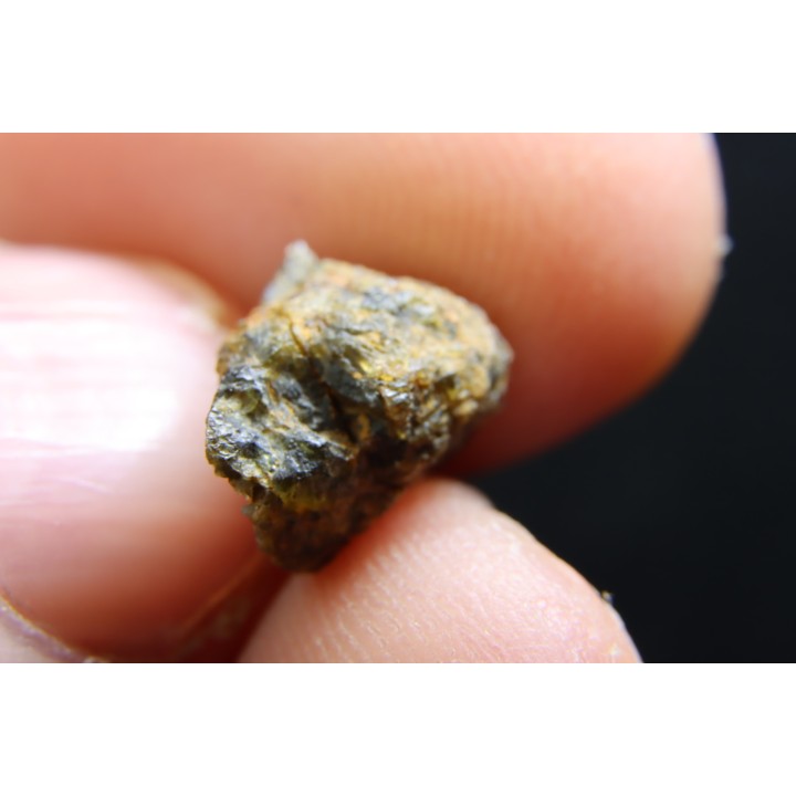 Météorite: ACHONDRITE HED DIOGENITE - NWA7831