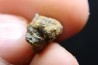 Météorite: ACHONDRITE HED DIOGENITE - NWA7831