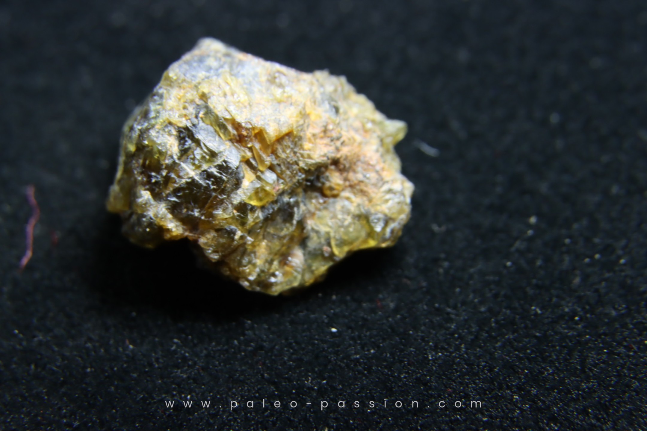 Sold] Météorite: ACHONDRITE HED DIOGENITE - NWA7831