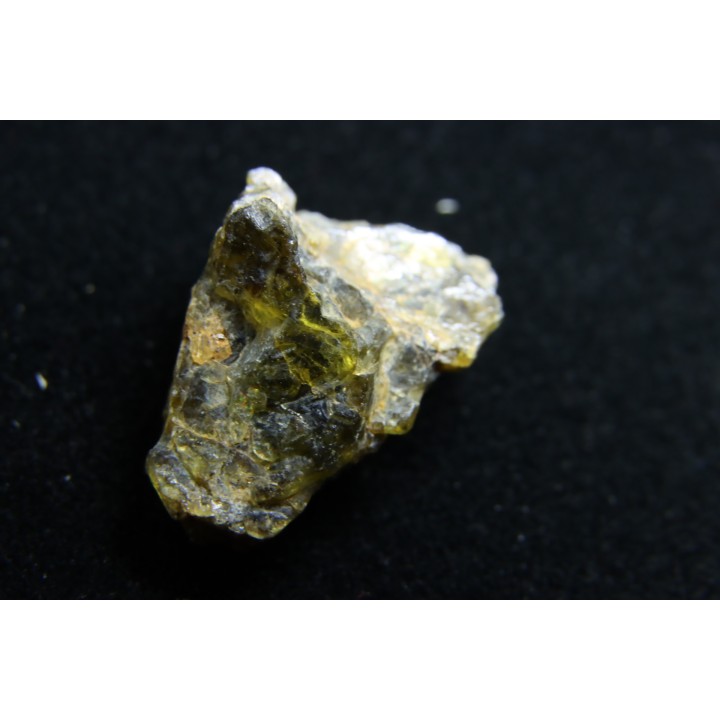 Météorite: ACHONDRITE HED DIOGENITE - NWA7831
