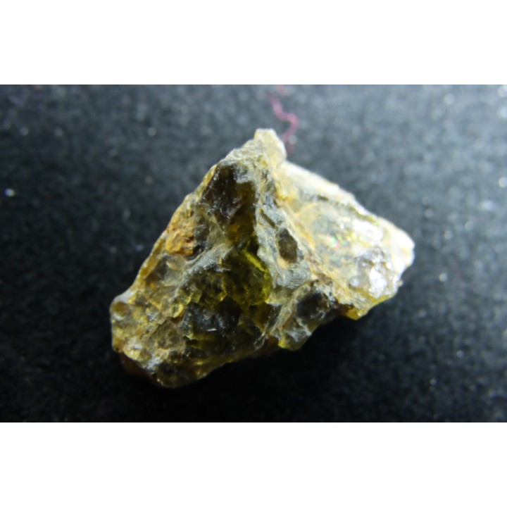 Météorite: ACHONDRITE HED DIOGENITE - NWA7831