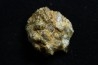 Météorite: ACHONDRITE HED DIOGENITE - NWA7831