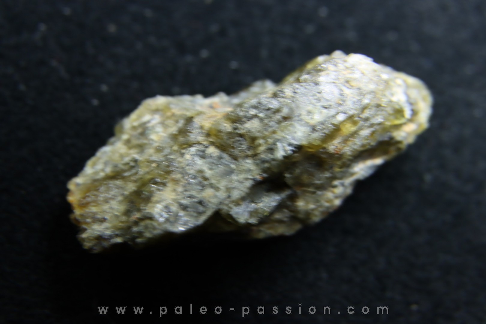 Météorite: ACHONDRITE HED DIOGENITE - NWA7831