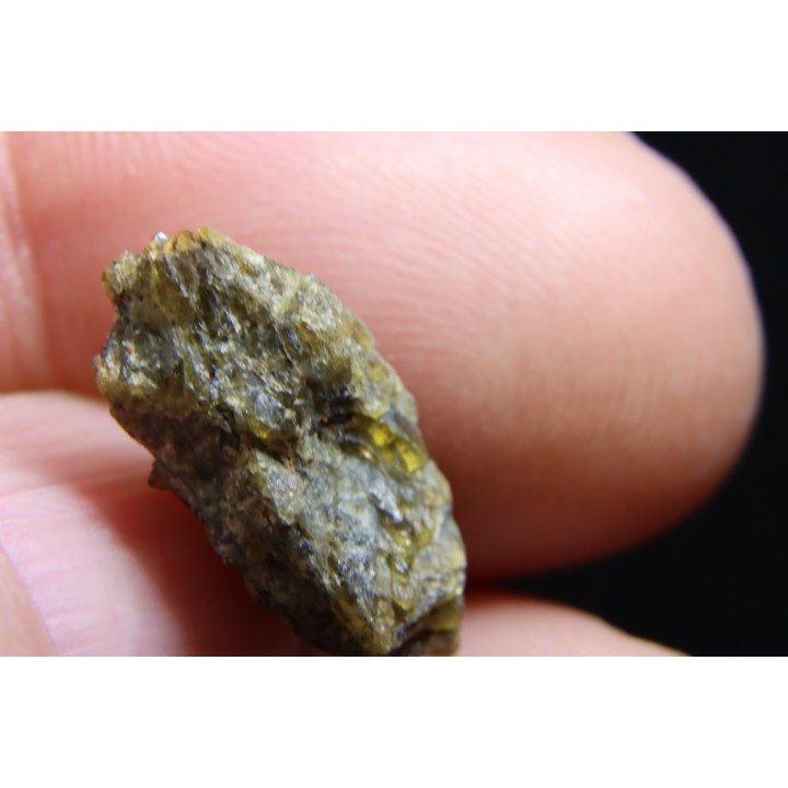 Météorite: ACHONDRITE HED DIOGENITE - NWA7831