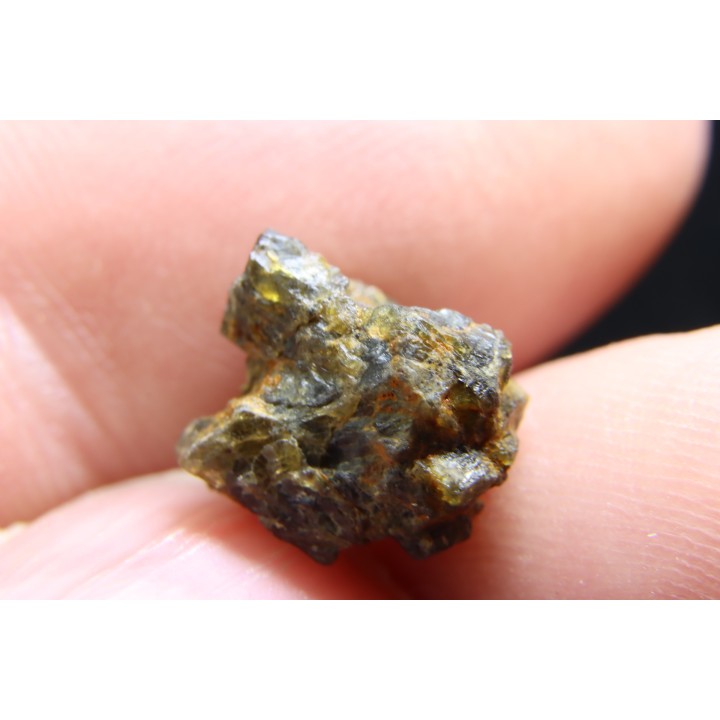 Météorite: ACHONDRITE HED DIOGENITE - NWA7831