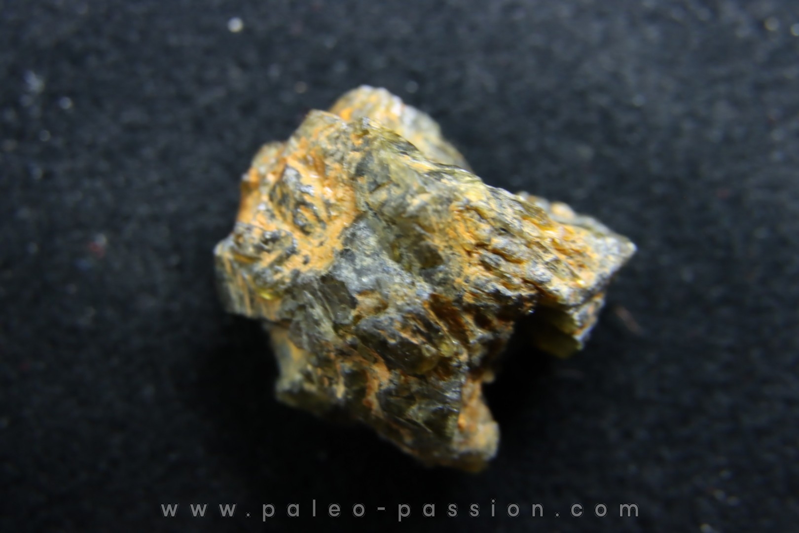 Météorite: ACHONDRITE HED DIOGENITE - NWA7831