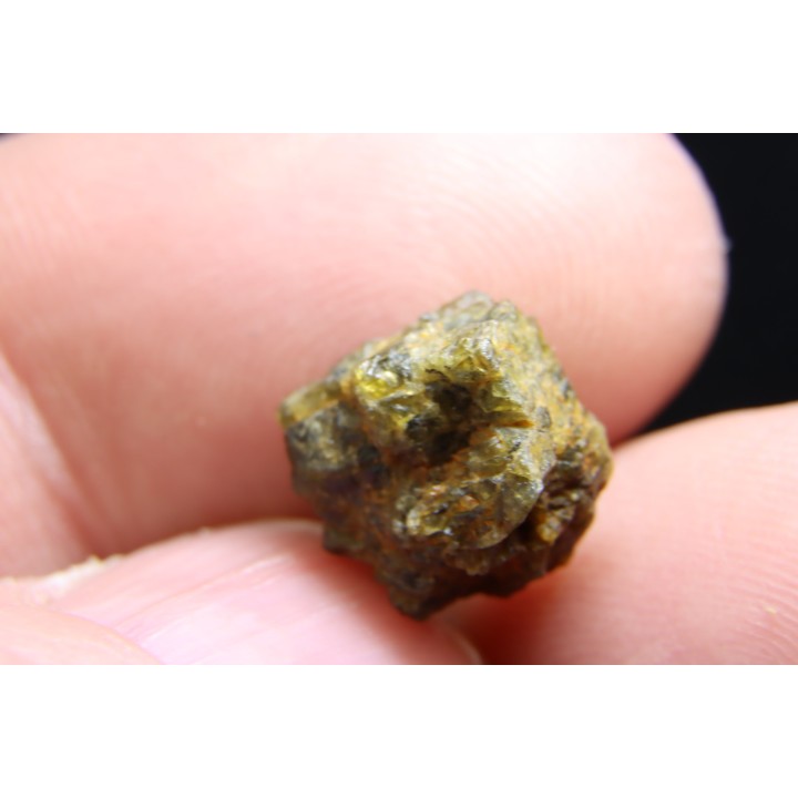 Météorite: ACHONDRITE HED DIOGENITE - NWA7831