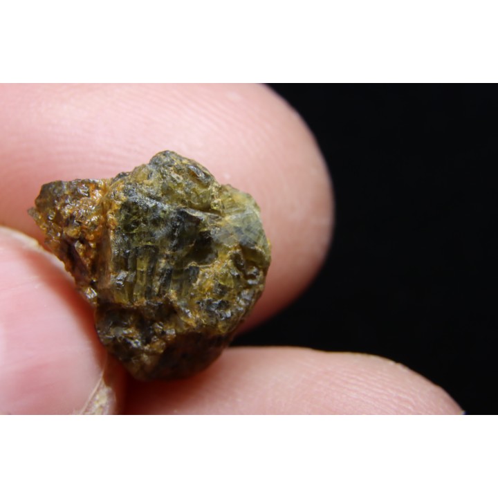 Météorite: ACHONDRITE HED DIOGENITE - NWA7831