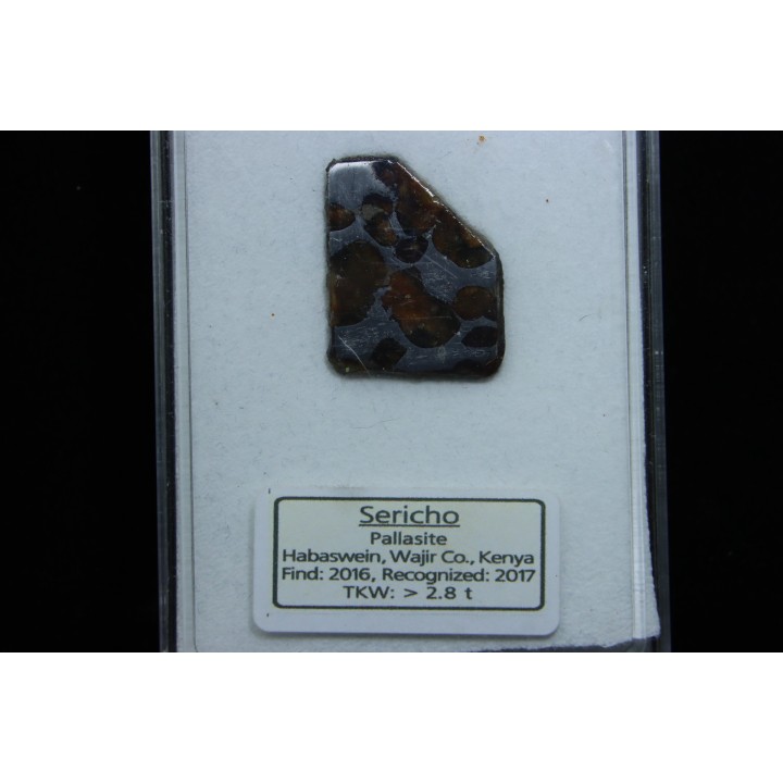 METEORITE: PALLASITE - SERICHO
