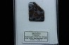 METEORITE: PALLASITE - SERICHO