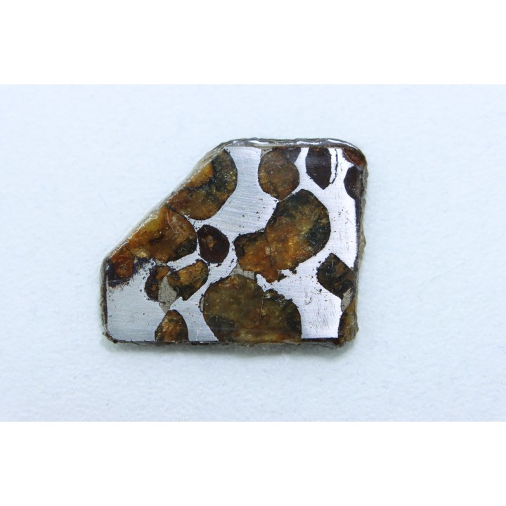 METEORITE: PALLASITE - SERICHO
