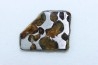 METEORITE: PALLASITE - SERICHO
