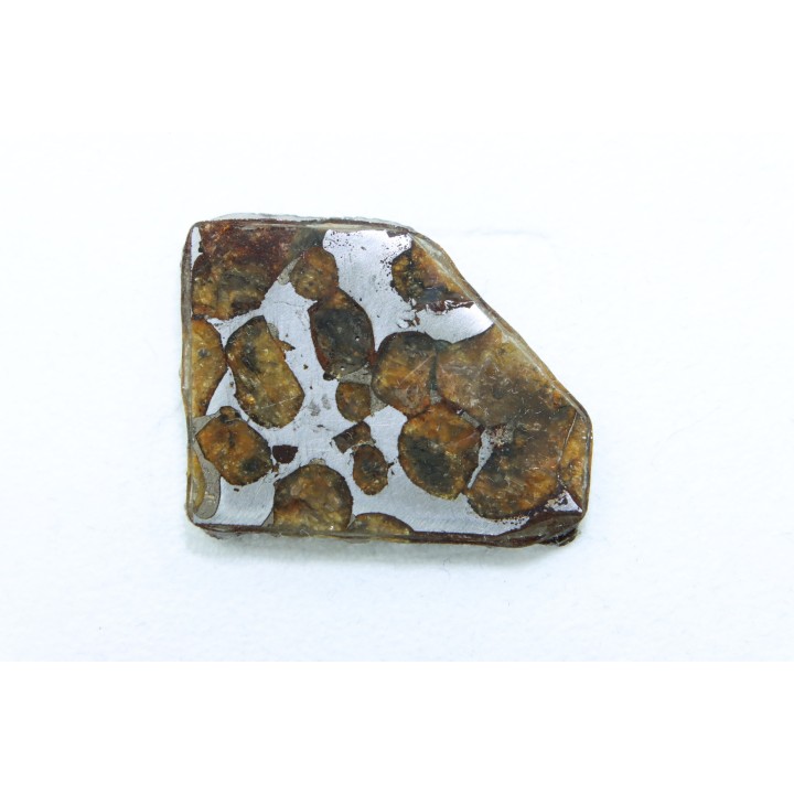 METEORITE: PALLASITE - SERICHO