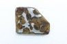 METEORITE: PALLASITE - SERICHO