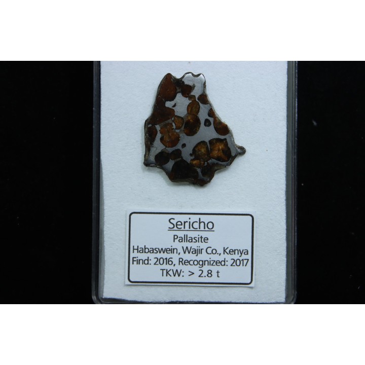 METEORITE: PALLASITE - SERICHO