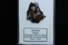 METEORITE: PALLASITE - SERICHO