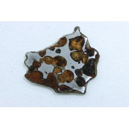 METEORITE: PALLASITE - SERICHO