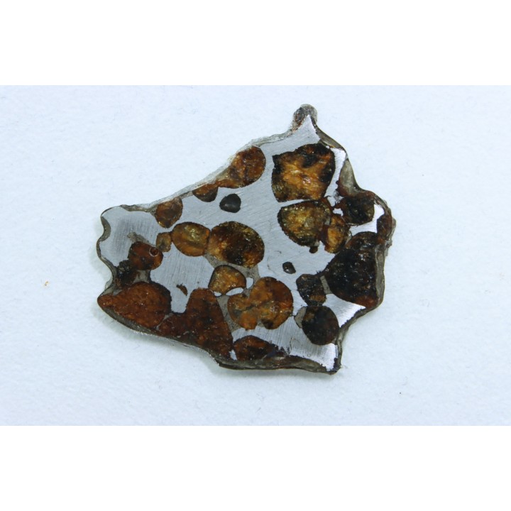 METEORITE: PALLASITE - SERICHO