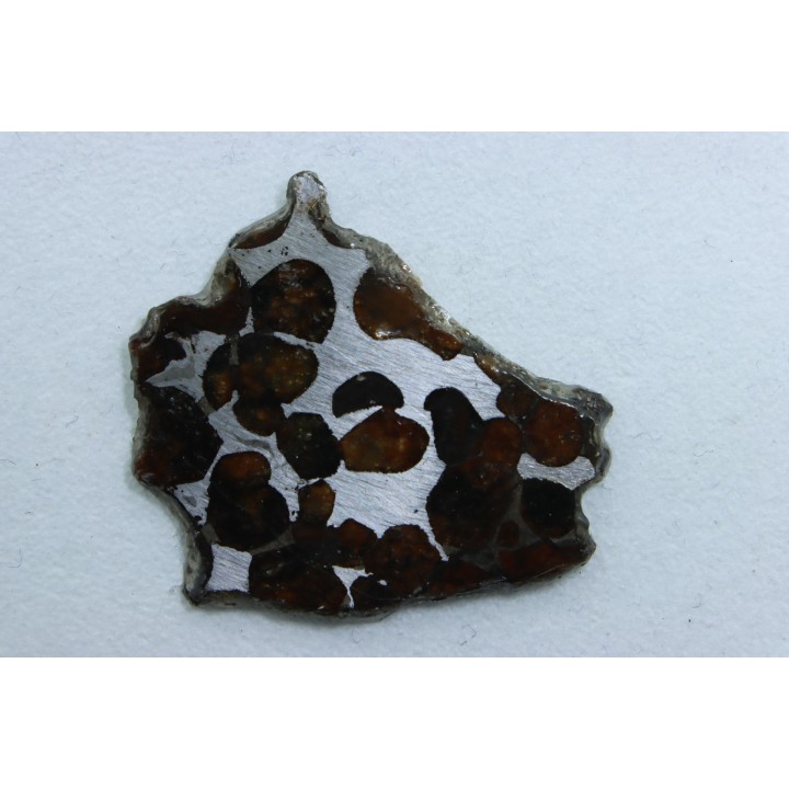 METEORITE: PALLASITE - SERICHO