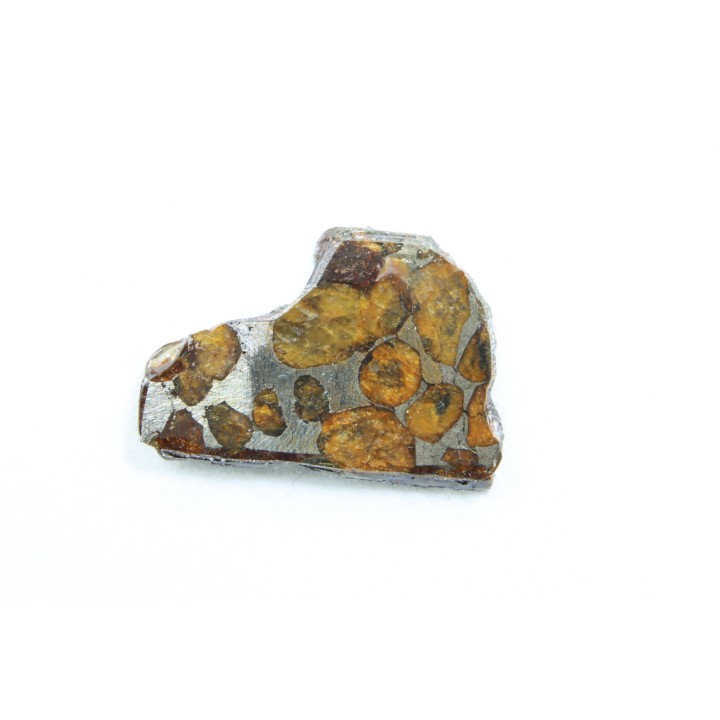 METEORITE: PALLASITE - SERICHO