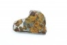 METEORITE: PALLASITE - SERICHO
