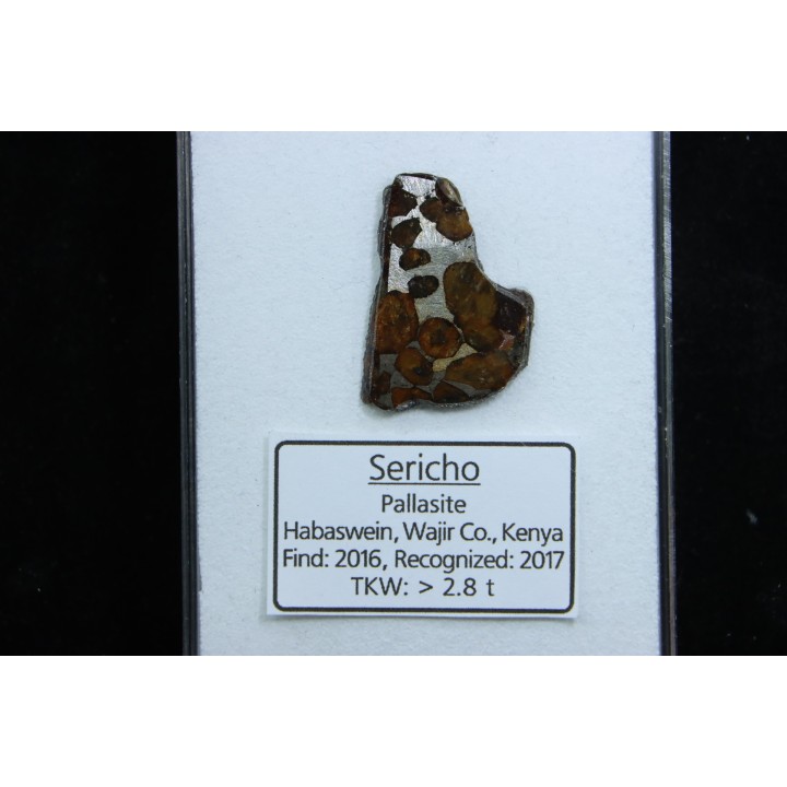METEORITE: PALLASITE - SERICHO