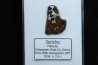 METEORITE: PALLASITE - SERICHO