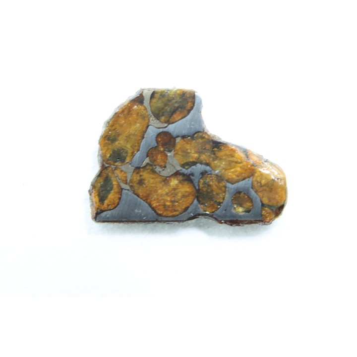 METEORITE: PALLASITE - SERICHO