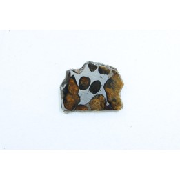 METEORITE: PALLASITE - SERICHO