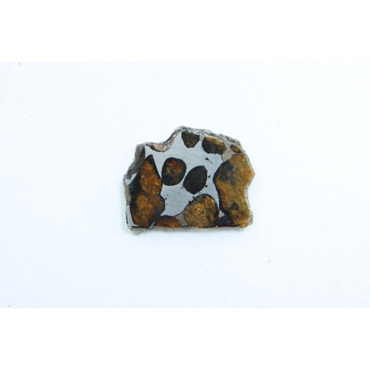 METEORITE: PALLASITE - SERICHO