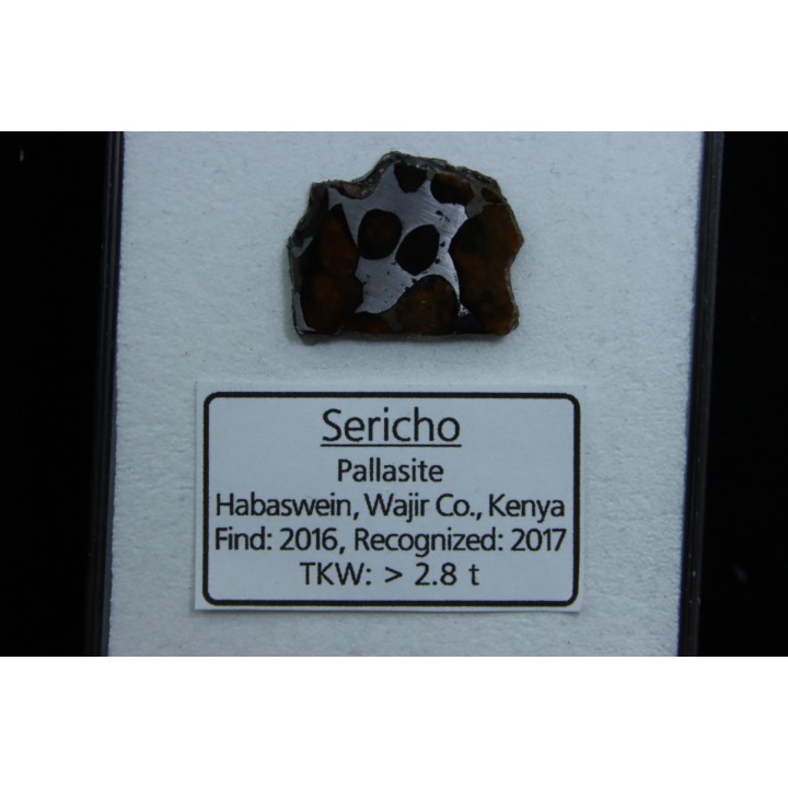 METEORITE: PALLASITE - SERICHO