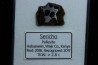 METEORITE: PALLASITE - SERICHO