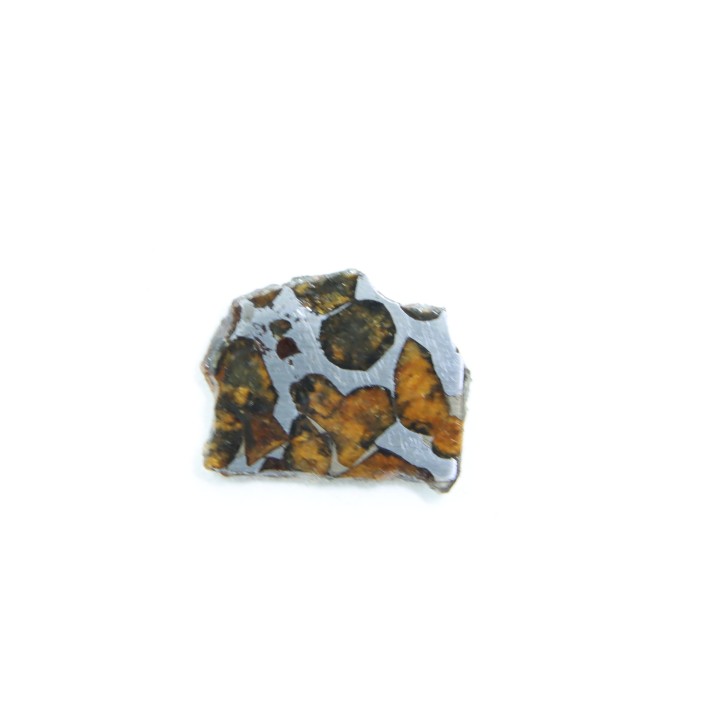 METEORITE: PALLASITE - SERICHO