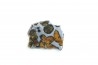 METEORITE: PALLASITE - SERICHO