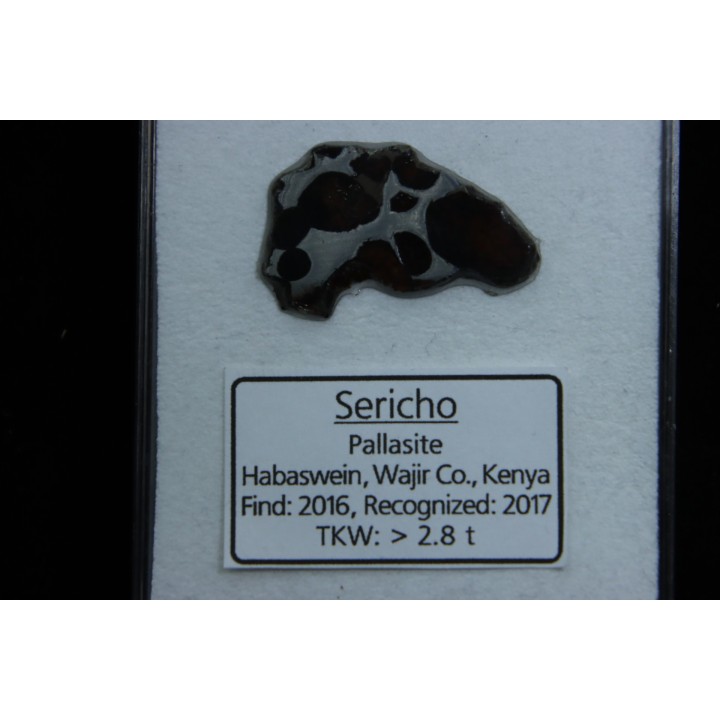 METEORITE: PALLASITE - SERICHO