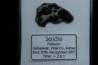 METEORITE: PALLASITE - SERICHO