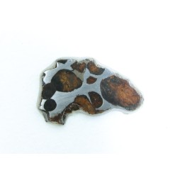 METEORITE: PALLASITE - SERICHO