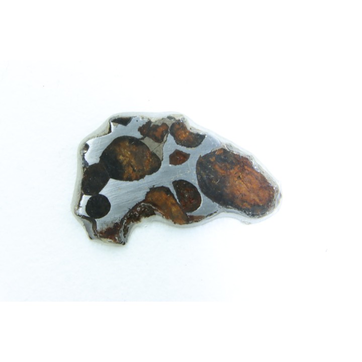 METEORITE: PALLASITE - SERICHO