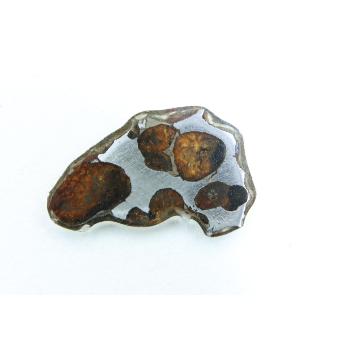 METEORITE: PALLASITE - SERICHO
