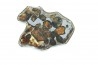 METEORITE: PALLASITE - SERICHO