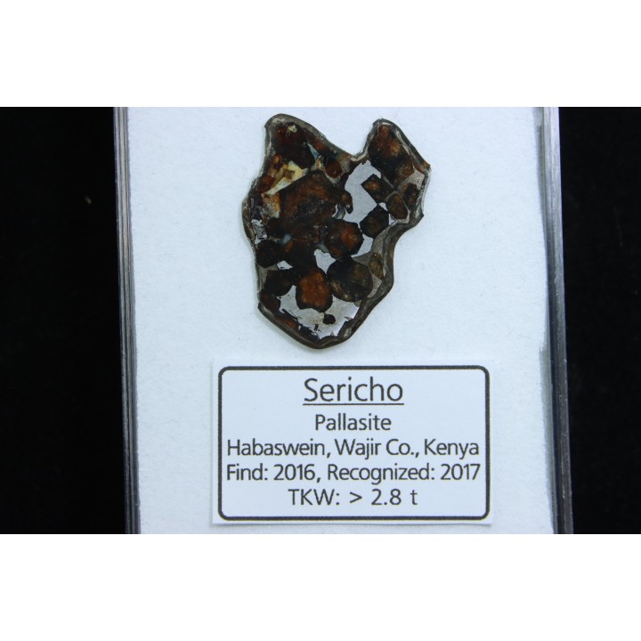 METEORITE: PALLASITE - SERICHO