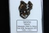 METEORITE: PALLASITE - SERICHO