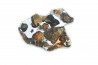 METEORITE: PALLASITE - SERICHO