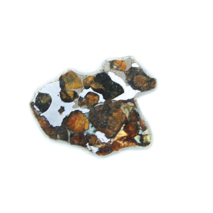 METEORITE: PALLASITE - SERICHO
