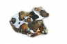 METEORITE: PALLASITE - SERICHO