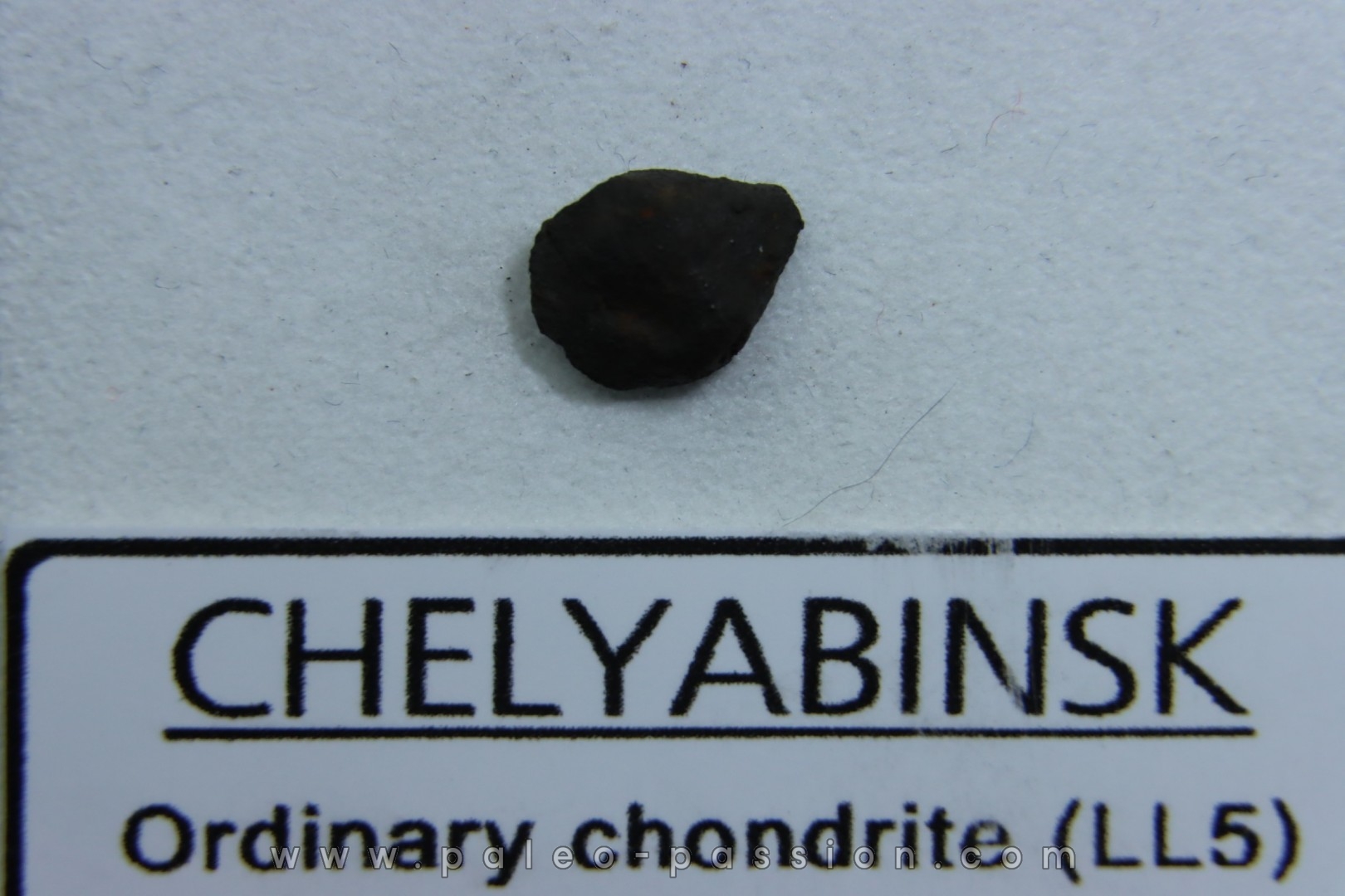 METEORITE Chondrite LL5 - CHELYABINSK